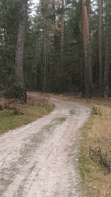 Осень смотреть онлайн