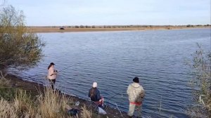 Жизнь в деревне/слезы радости ведро карасей 🐟 покрасили полы