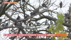 А за окном. 21 ноября 2025