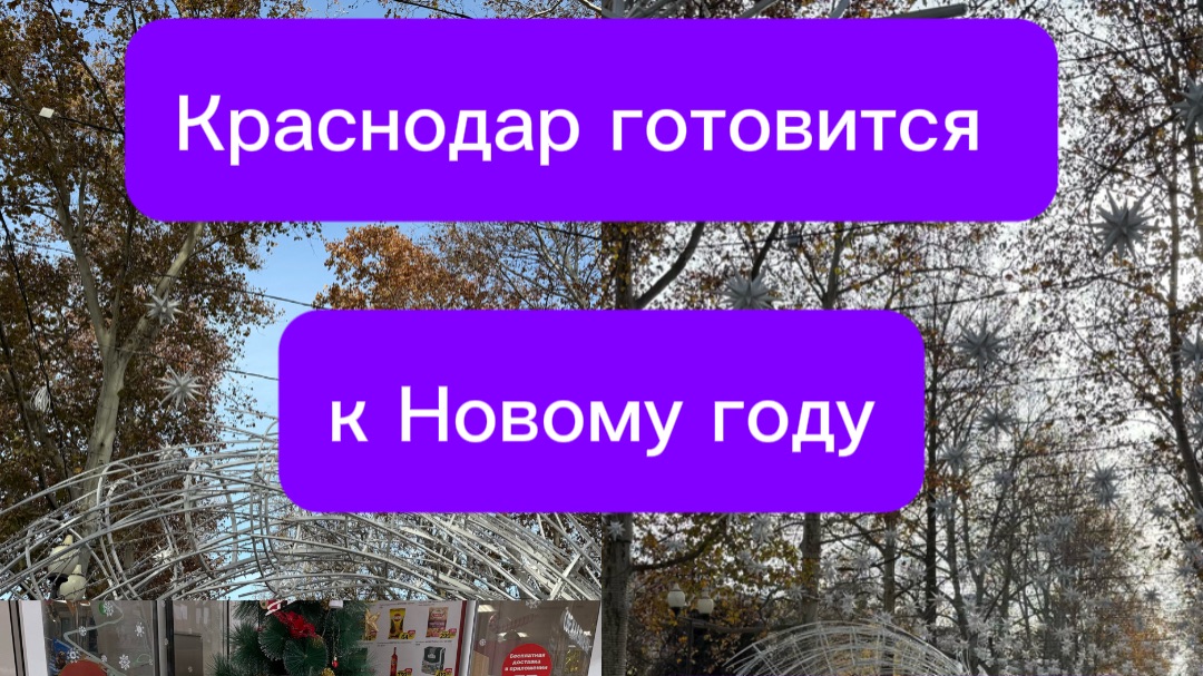 Аллею на Красной украшают к Новому 2026 году | Краснодар | 20.11.2025