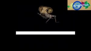 взломали КаРуСеЛь ж