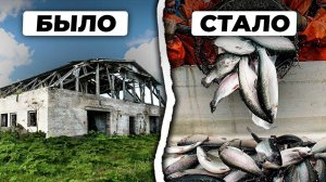 Рыбный БИЗНЕС в РАЗРУШЕННОМ АНГАРЕ! Как Разбитый Ангар ПРЕВРАТИТЬ в Доходный Актив?