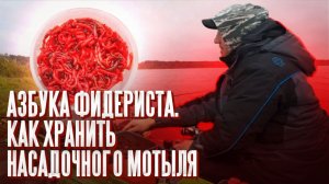 Азбука фидериста. Как хранить насадочного мотыля?