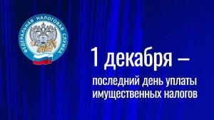 1 декабря – последний день уплаты имущественных налогов