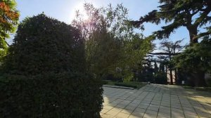 Никитский ботанический сад