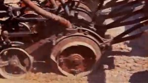 Овощеводство в СССР. Белокочанная Капуста. 1973 год.