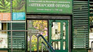 Аптекарский огород