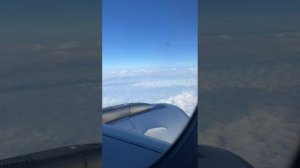 Мои любимые