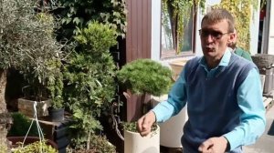 Сергей Сидоренко - Зимовка контейнерных растений в садовых центрах. Часть 3