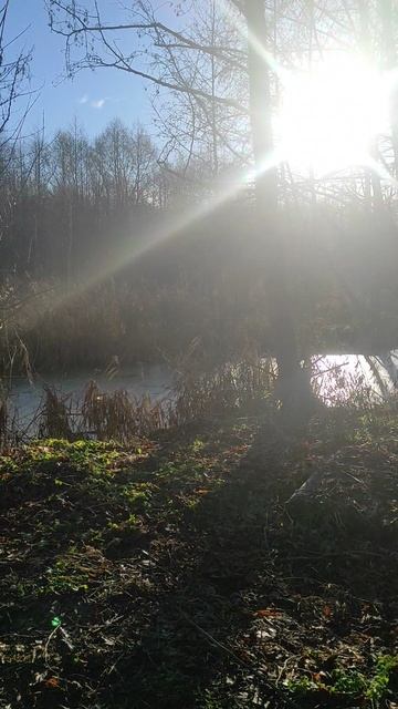 Осень смотреть онлайн