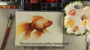 Золотая рыбка акварелью без карандаша — эффектная техника для новичков