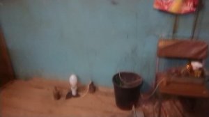 Диммер вентилятор дрл работа.mp4