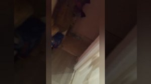 ГРЕНДПА ПРЕСЛЕДУЕТ ТИГРУ В ЗАБРОШЕННОМ ДЕРЕВНЕ (ЧАСТЬ 5)