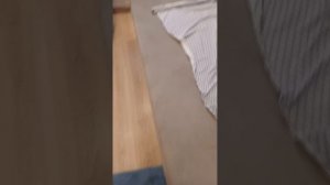 обновки вещей🫠