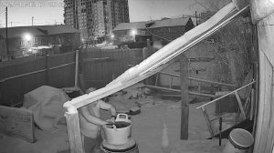 Любопытная кошка.