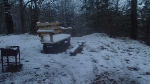 Геокэшинг в Звенигороде 16.11.2025