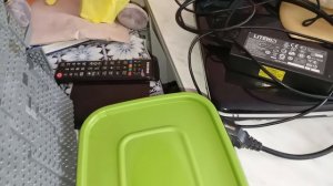 замби на подают на