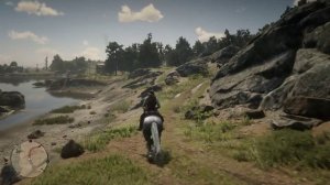 Red Dead Redemption 2 . Артур ищет лилипута