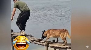 Самые смешные ржачные видео №1