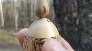 Шкатулка в ноябрьском лесу на березе