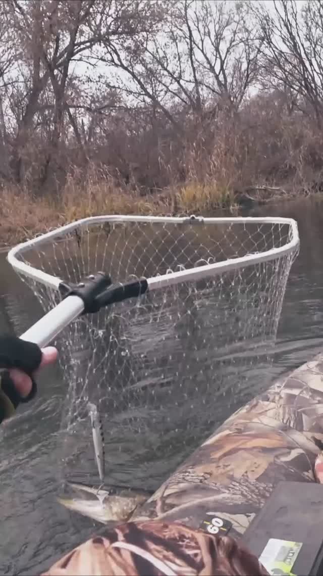 ЩУКА ЗАХАВАЛА РУДРУ!