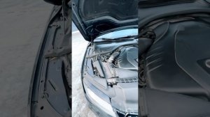 video-output-A67AEC9E-F318-449C-9298-4FFBCD1707C5-1