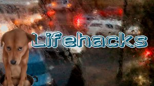 Лайфхаки - 16 #кухня  #умелые_руки  #вседлявас  #чудеса_кулинарии