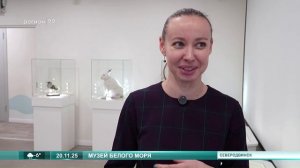 20_11_25 Музей Белого моря