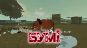 лисья лапа/ коты воители