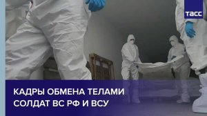 Кадры обмена телами солдат ВС РФ и ВСУ