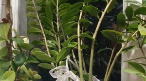 Теперь там мрак...