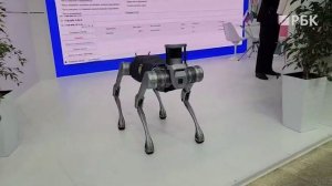 Ространснадзор показал робособаку, которая осматривает вагоны