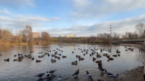 iPhone 17, работа зума и переключение между камерами