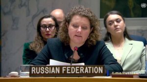 А.М.Евстигнеева на брифинге председателей Комитетов  СБ ООН 1267/1989/2253, 1373 и 1540, 19 ноября