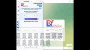 Обзор_проекта_DimMedical_ru.mp4
