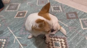 Нюша поет часть 2