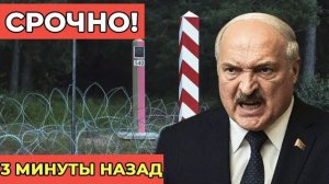 СРОЧНО Лукашенко заявил о задержании польских диверсантов граница накалена до предела
