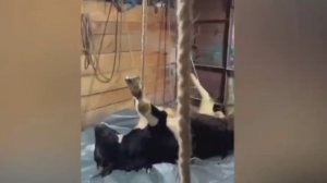 Шесть лет в колонии строгого режима проведет преподаватель-наркоторговец-оккультист