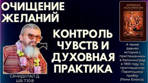 Контроль чувств и духовная практика. Очищение желаний. Сачидулал д. ШБ 7.10.8