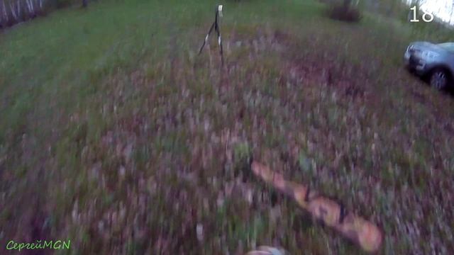 Вальдшнеп 2025.