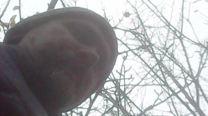 Исполняя заповедь Божию о почитании родителей - завершаю уборку саженцев