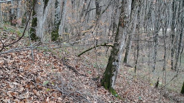 Когда же Зеленский подаст в отставку и расскажет кто его ,,ведёт,, !???