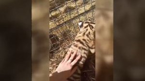 Видео от МЭН - Мне Это Нравится