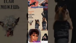 ,,Сладкие песни" от  Карины