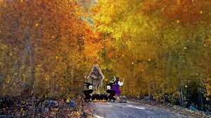 Заготовки на зиму в осеннем лесу!!! Музыкальная открытка от киностудии МКТ!