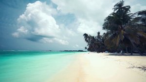 приехал чтобы по прощаться