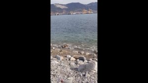 Что только в голову не взбредёт на прогулке 🤣🤣🤣😜