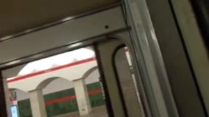 Прощальная подборка с вагонами Ема-502/Ем-501