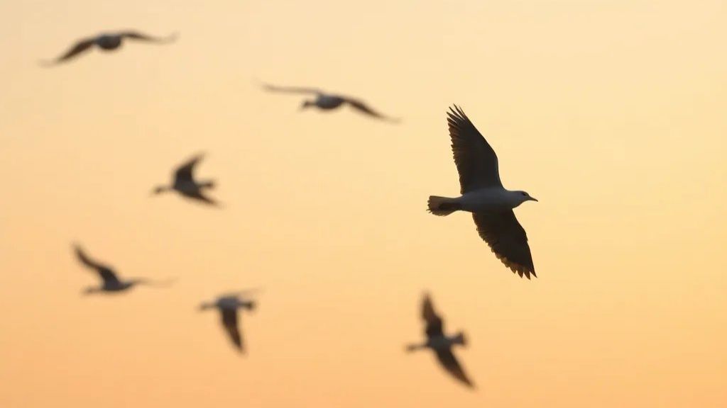 Птицы летят на юг - Песня