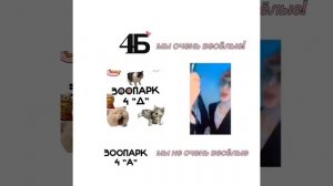 типичный д класс